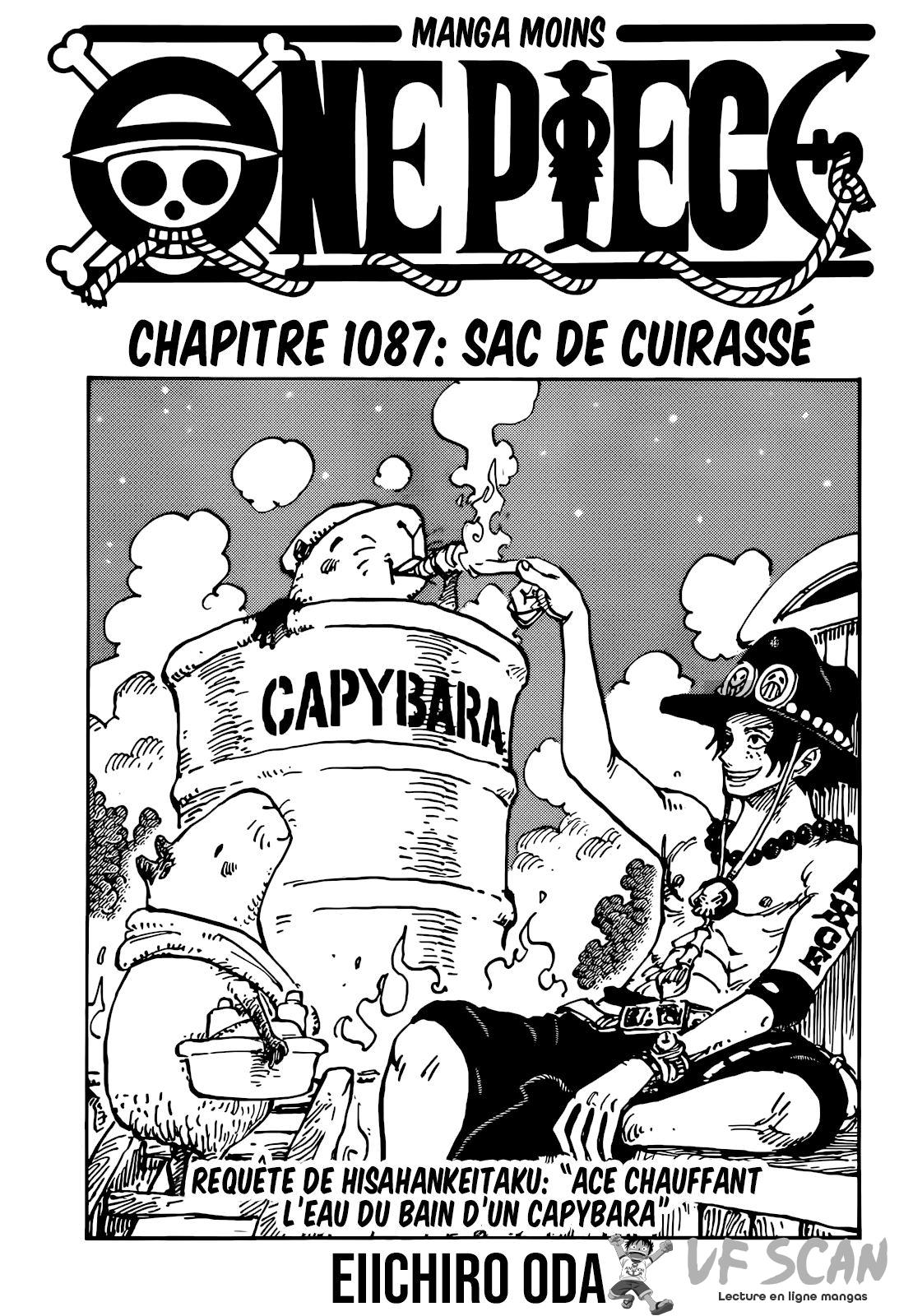 Sacs de navire de guerre