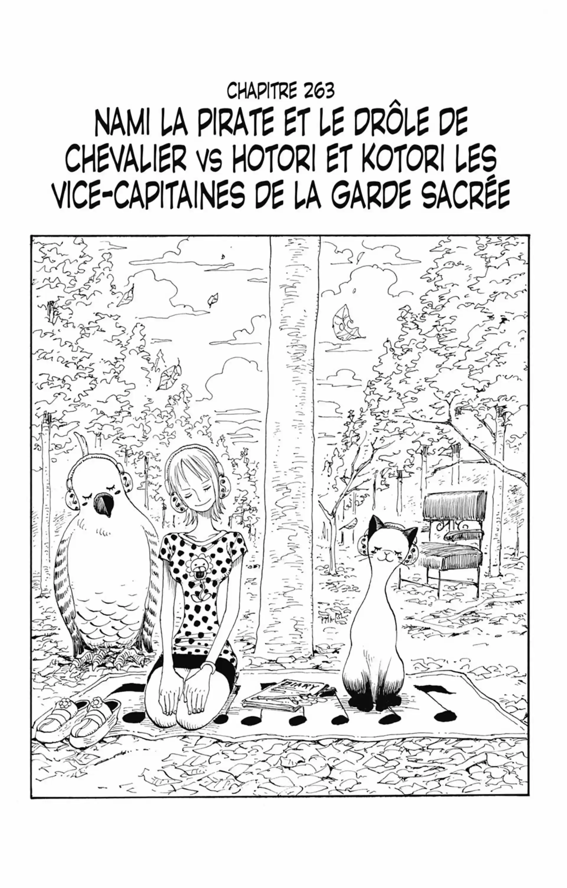 Nami la pirate et le drôle de chevalier vs Hotori et Katori les Vices-capitaines de la garde sacrée